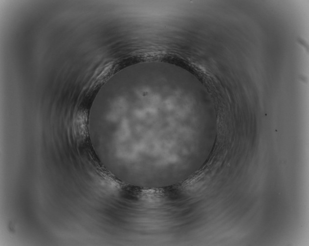 X0000092050240200709121218