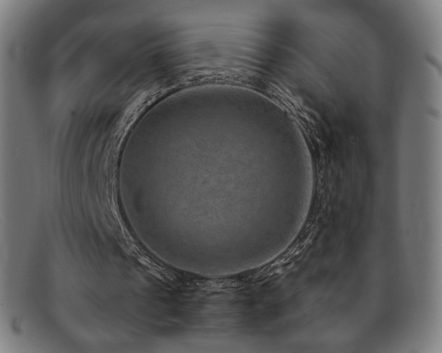 X0000092050241200709121218