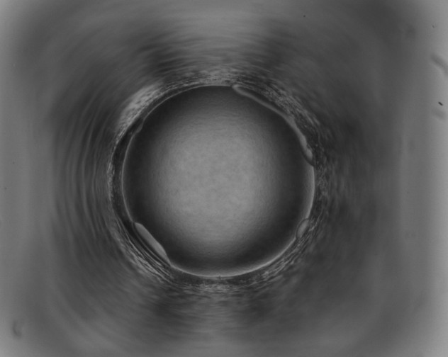 X0000092050242200709121218