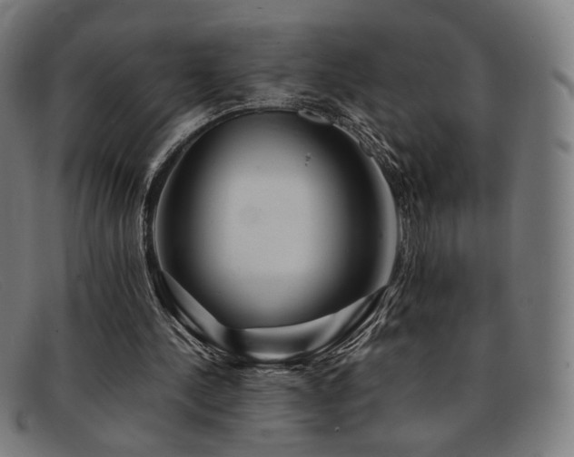 X0000092050244200709121218