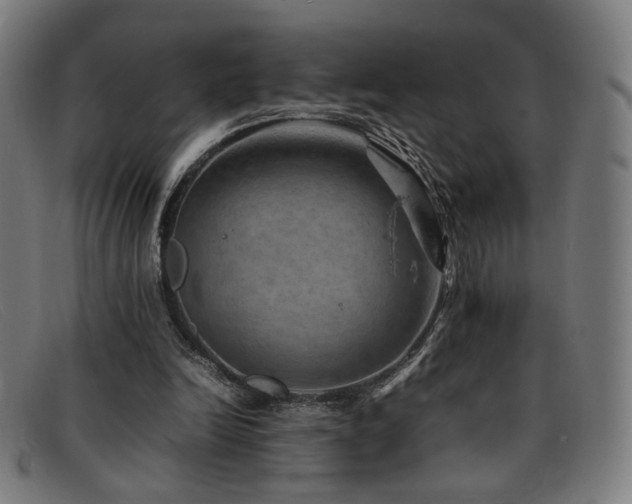 X0000092050246200709121218