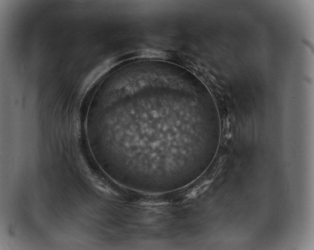 X0000092050247200709121218