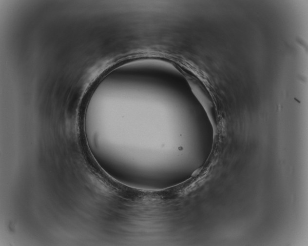 X0000092050248200709121218