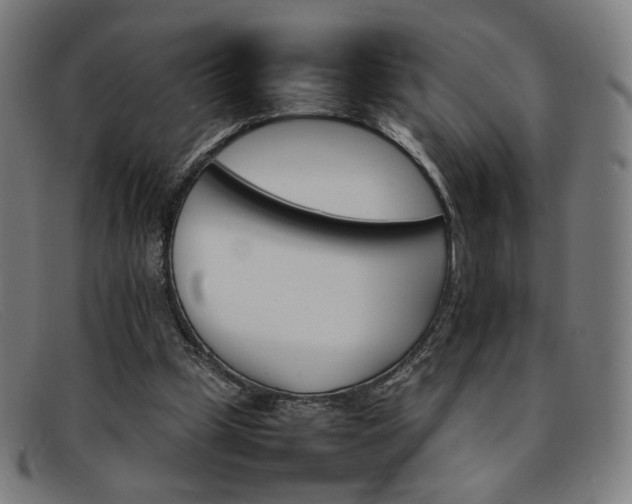 X0000092050249200709121218