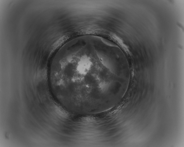 X0000092050250200709121218