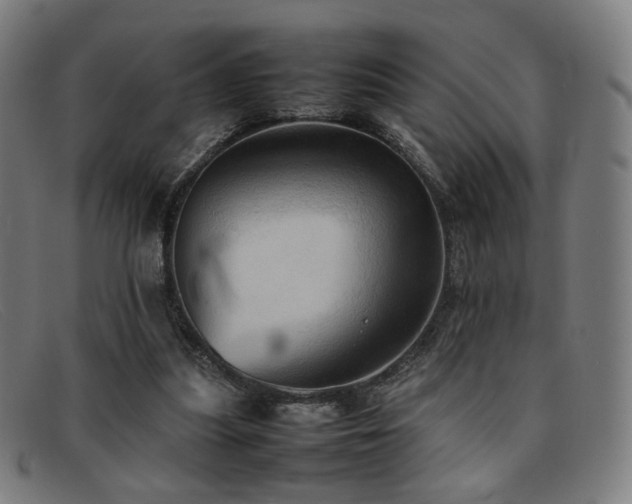 X0000092050251200709121218