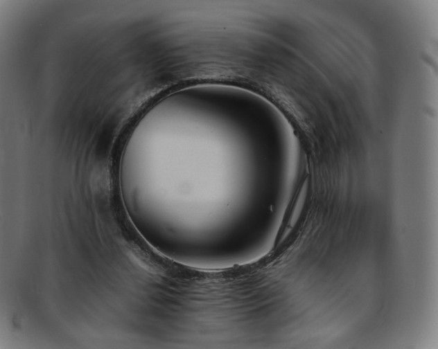 X0000092050252200709121218