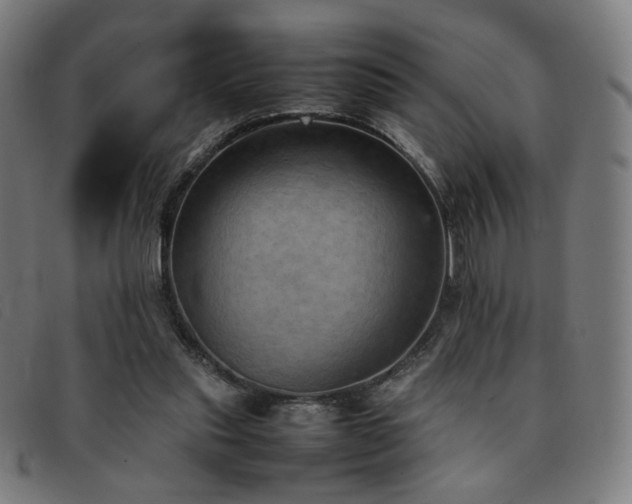 X0000092050253200709121218