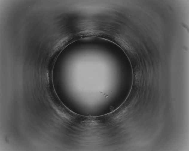 X0000092050254200709121218