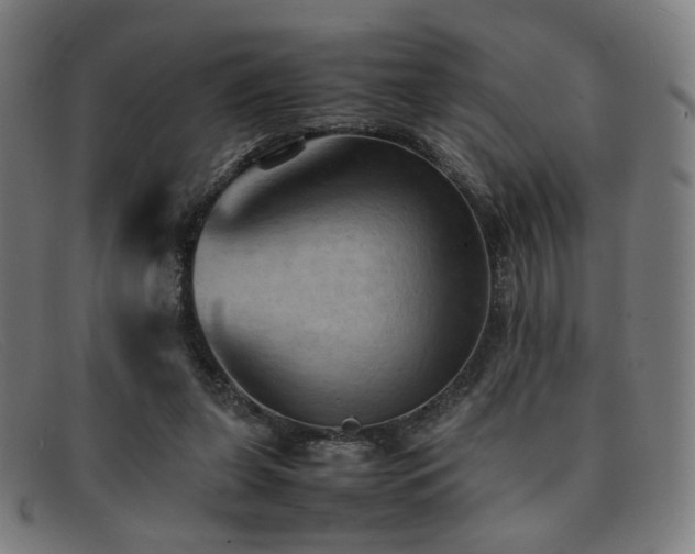 X0000092050255200709121218