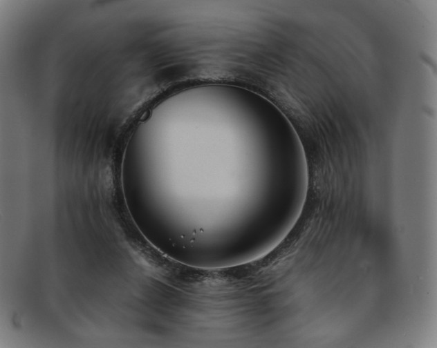 X0000092050256200709121218