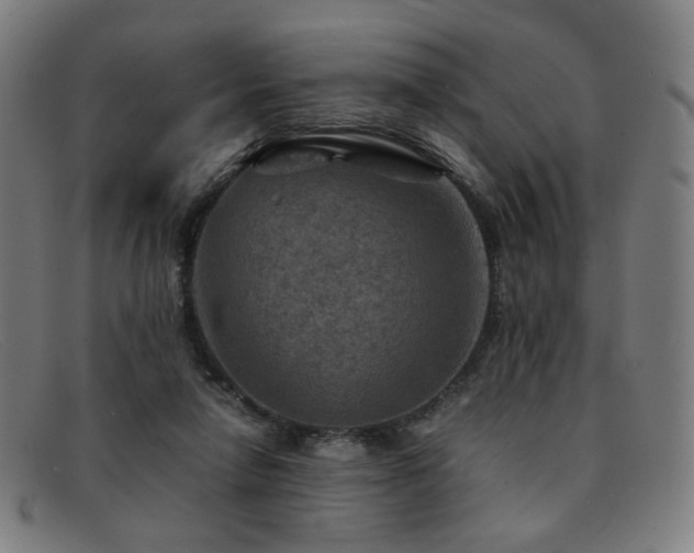 X0000092050258200709121218