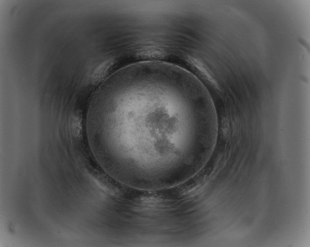 X0000092050259200709121218