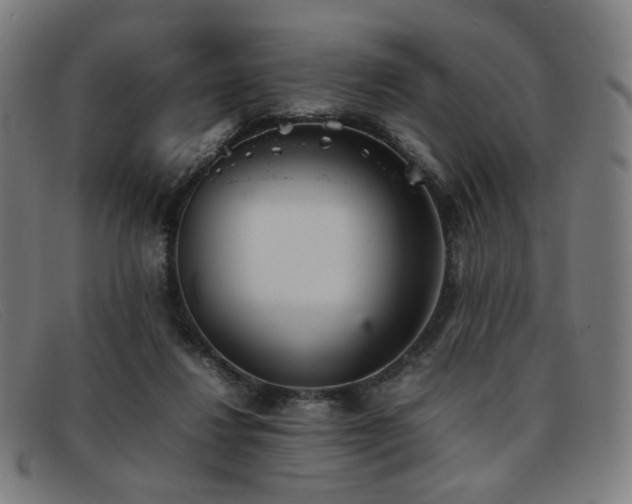 X0000092050260200709121218