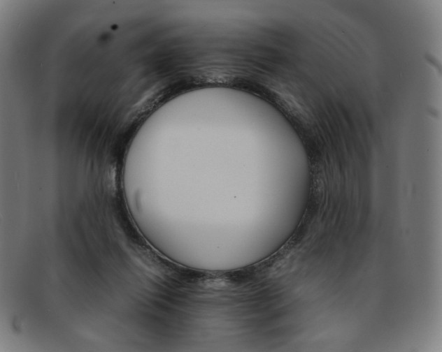 X0000092050262200709121218