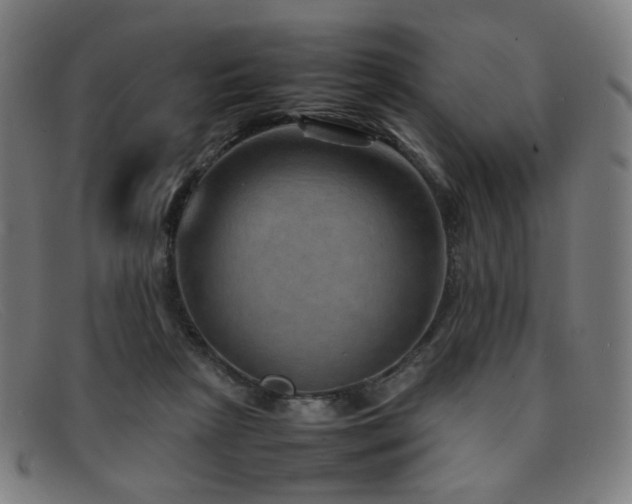 X0000092050265200709121218