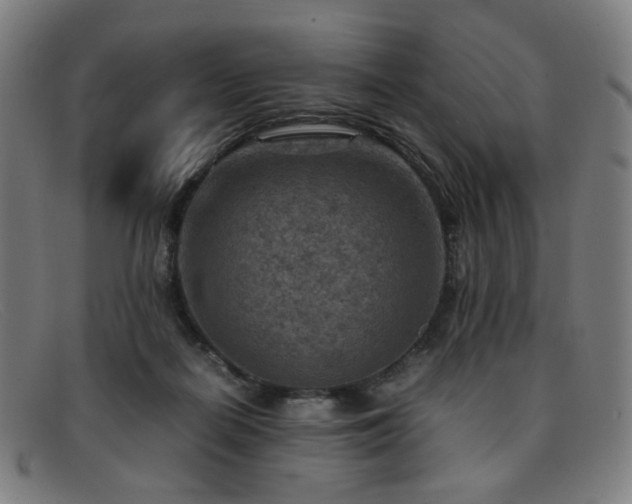 X0000092050266200709121218