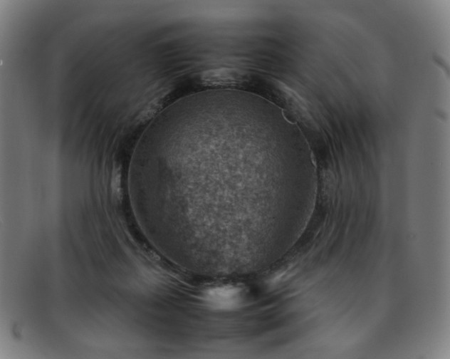 X0000092050267200709121218