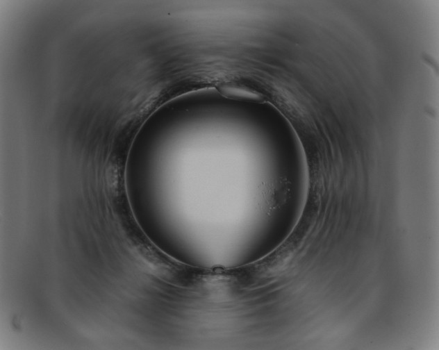 X0000092050268200709121218