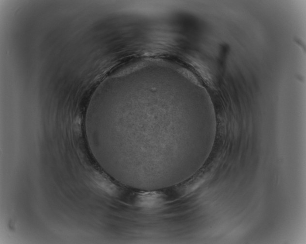 X0000092050269200709121218