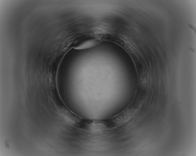 X0000092050270200709121218