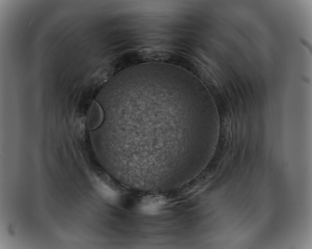 X0000092050271200709121218