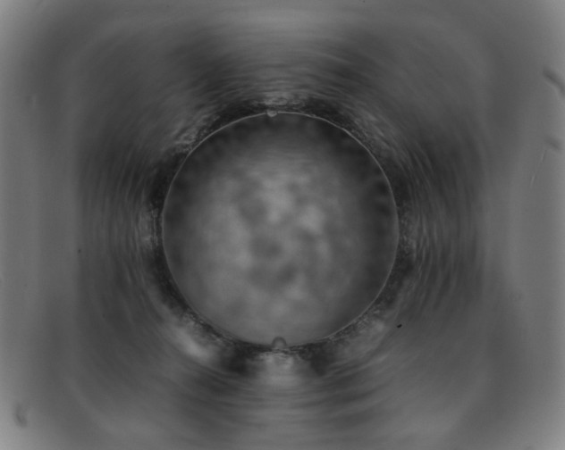 X0000092050272200709121218