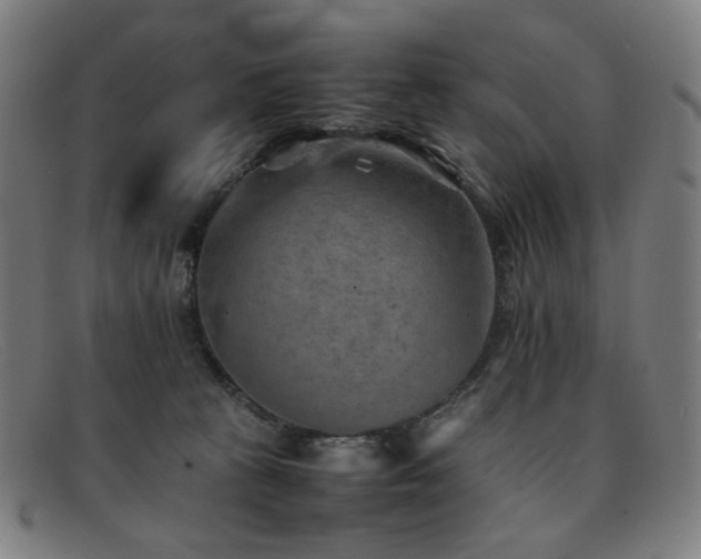 X0000092050273200709121218