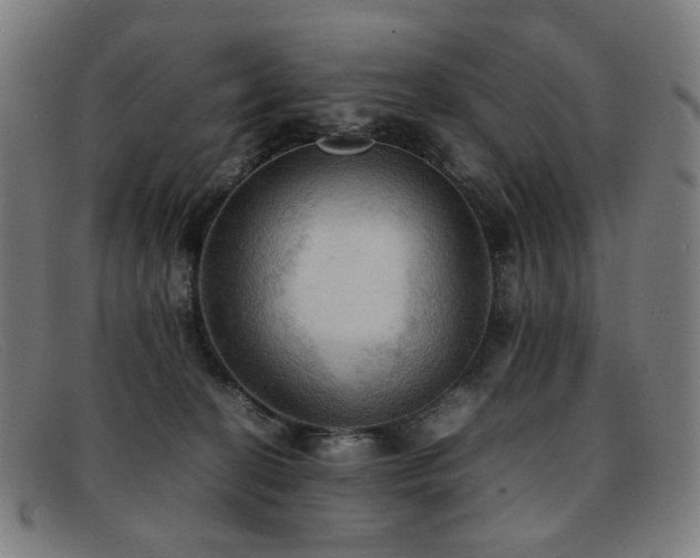 X0000092050274200709121218