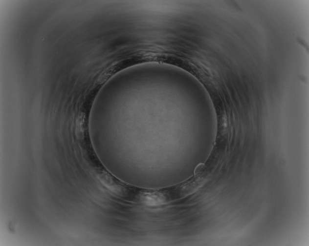 X0000092050275200709121218