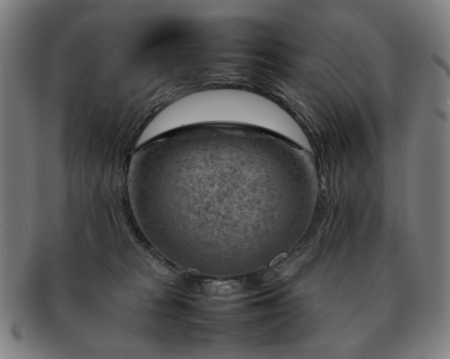 X0000092050277200709121218