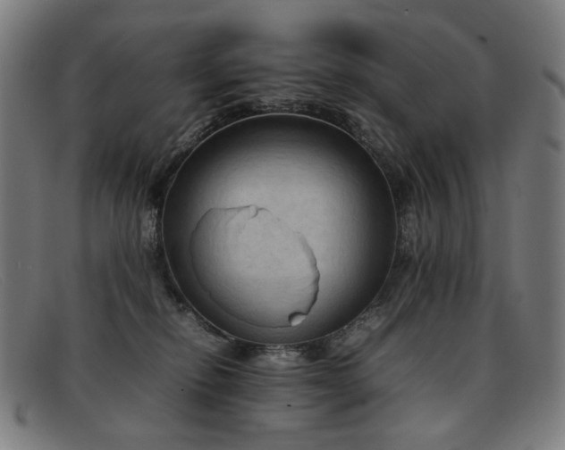 X0000092050278200709121218