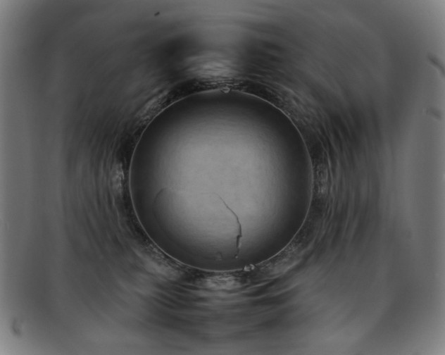 X0000092050279200709121218