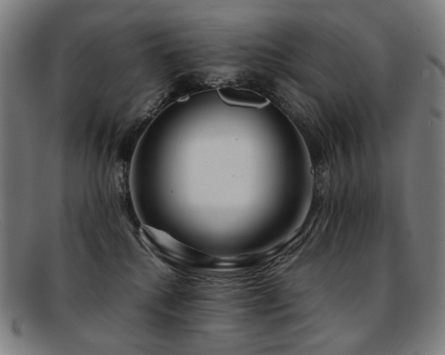 X0000092050280200709121218