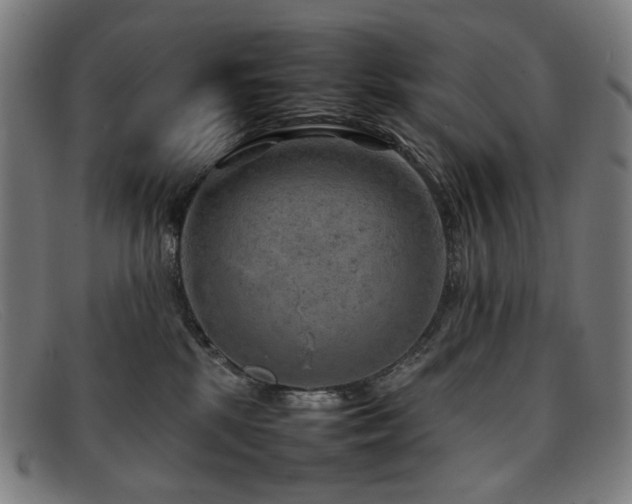 X0000092050281200709121218