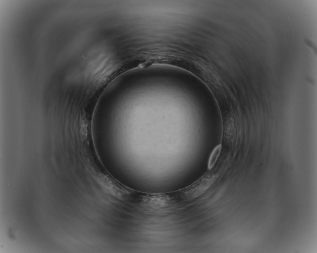 X0000092050282200709121218