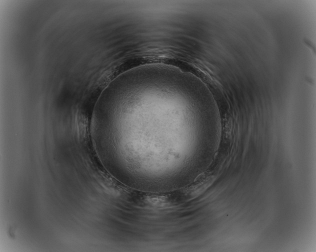 X0000092050283200709121218