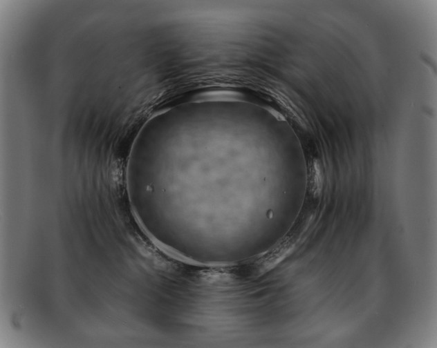 X0000092050284200709121218