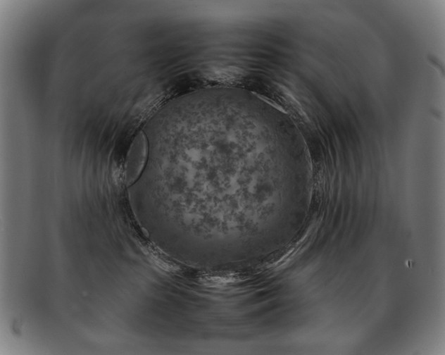 X0000092050285200709121218