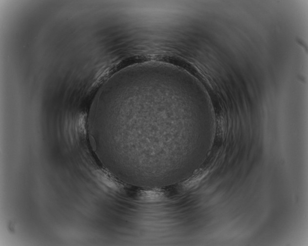 X0000092050286200709121218