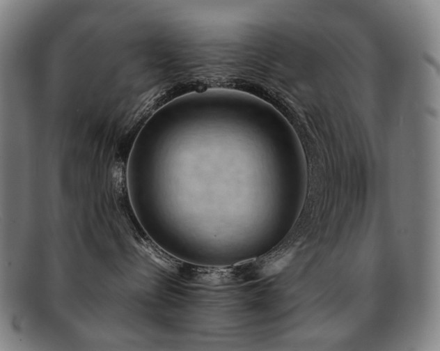 X0000092050288200709121218