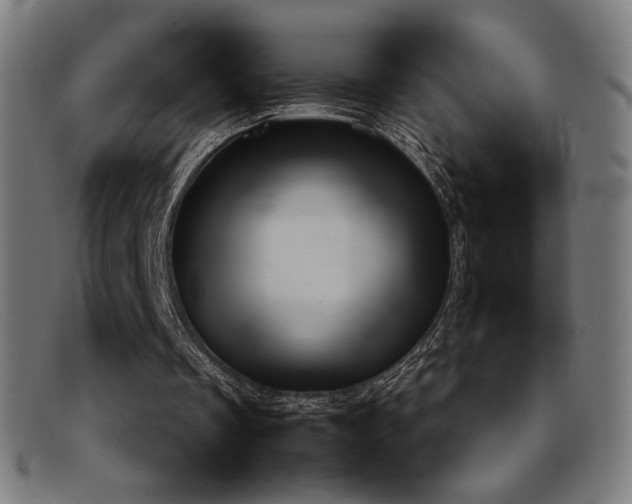 X0000092050289200709121218