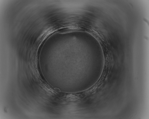 X0000092050290200709121218