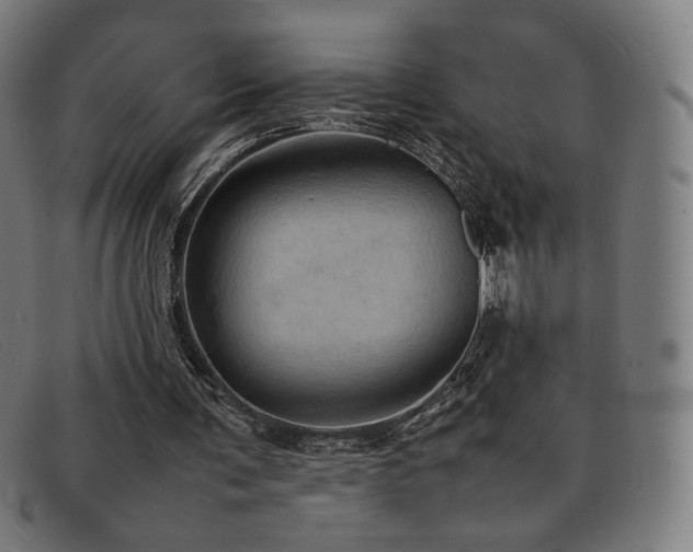 X0000092050291200709121218