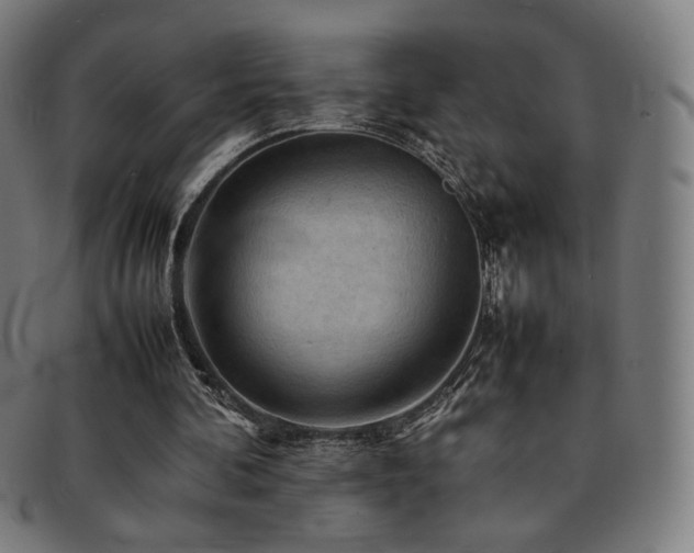 X0000092050292200709121218