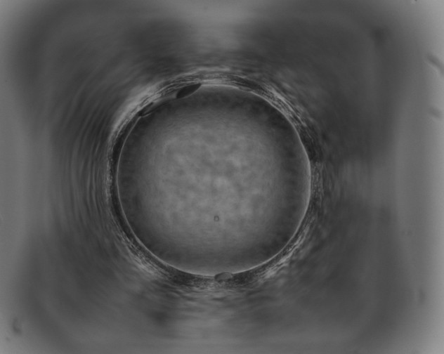 X0000092050293200709121218