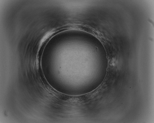 X0000092050294200709121218