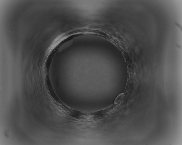 X0000092050295200709121218