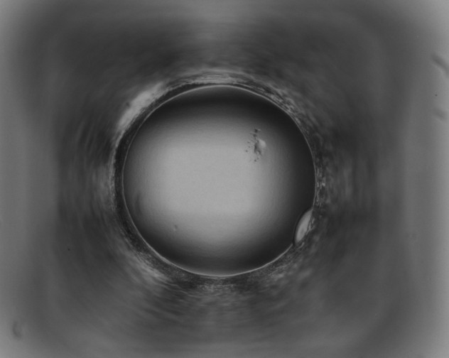 X0000092050296200709121218