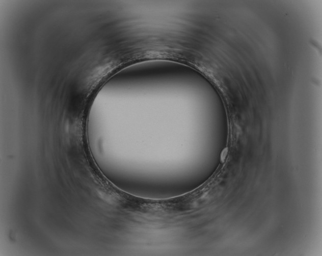 X0000092050297200709121218